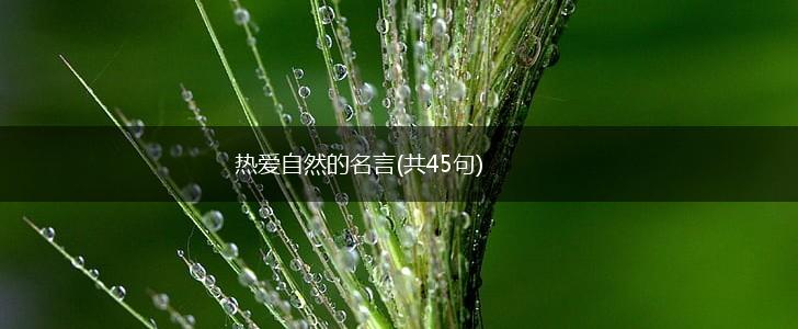 热爱自然的名言(共45句),第1张