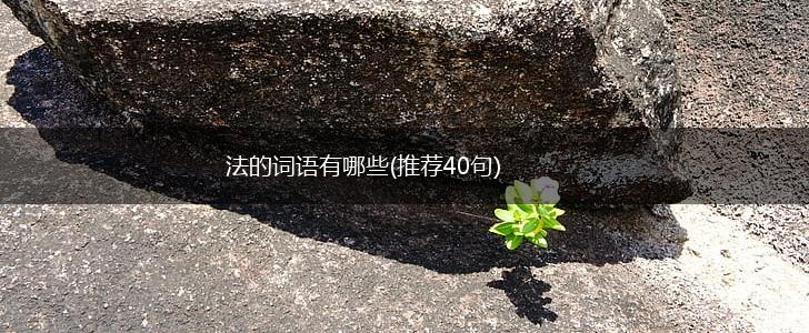法的词语有哪些(推荐40句),第1张