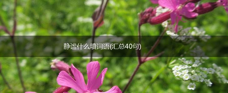 静谧什么填词语(汇总40句),第1张