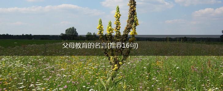 父母教育的名言(推荐16句),第1张