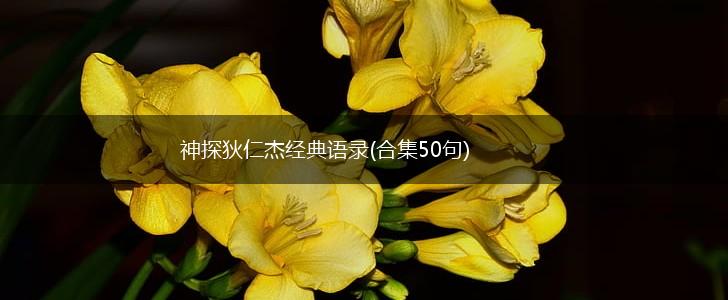 神探狄仁杰经典语录(合集50句),第1张