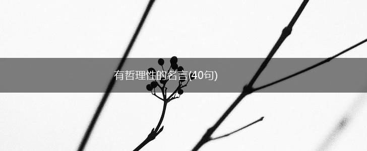 有哲理性的名言(40句),第1张