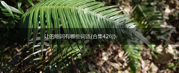 让的组词有哪些词语(合集42句),第1张 让的组词有哪些词语(合集42句),第1张