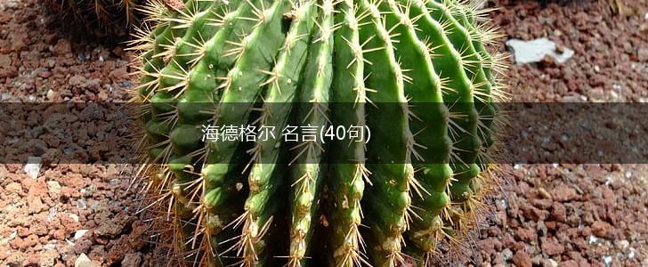 海德格尔 名言(40句),第1张