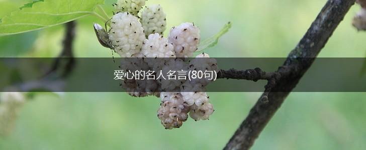 爱心的名人名言(80句),第1张