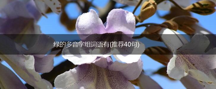 绿的多音字组词语有(推荐40句),第1张