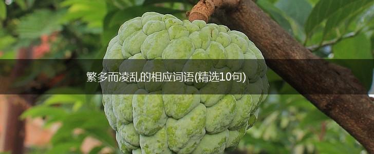 繁多而凌乱的相应词语(精选10句),第1张