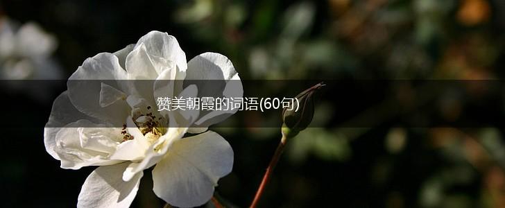 赞美朝霞的词语(60句),第1张