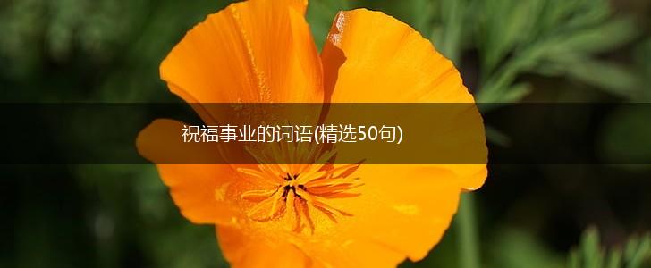 祝福事业的词语(精选50句),第1张 祝福事业的词语(精选50句),第1张