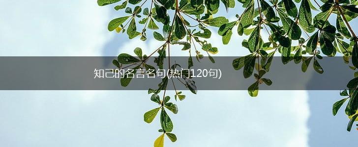 知己的名言名句(热门120句),第1张 知己的名言名句(热门120句),第1张