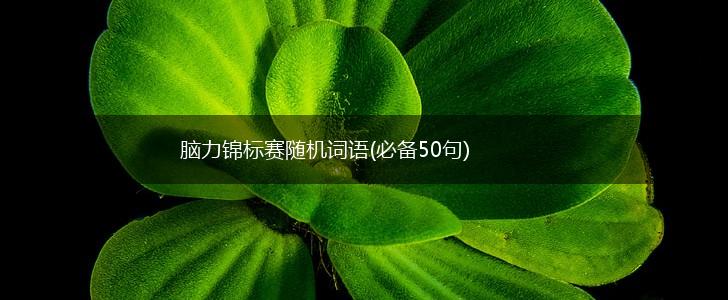 脑力锦标赛随机词语(必备50句),第1张