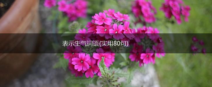 表示生气词语(实用80句),第1张