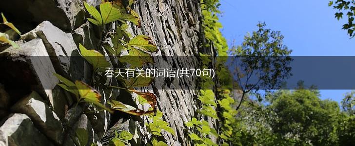春天有关的词语(共70句),第1张