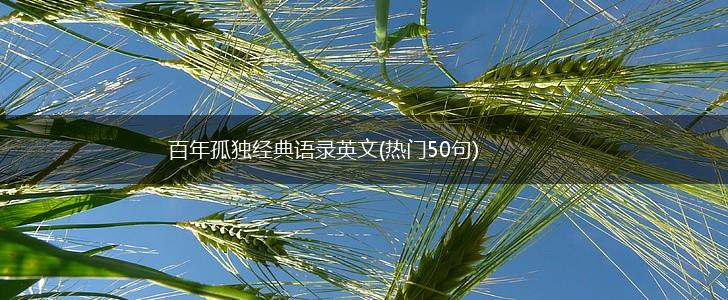 百年孤独经典语录英文(热门50句),第1张
