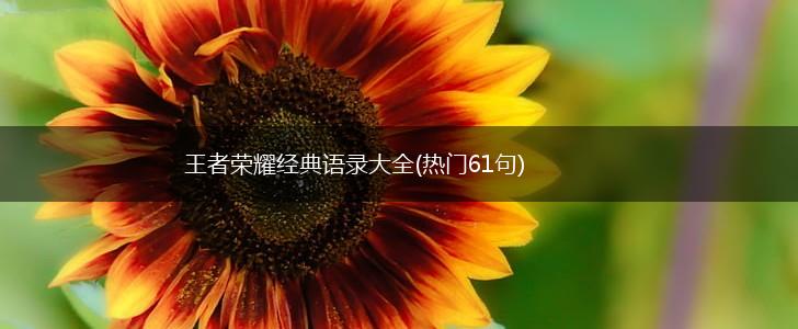王者荣耀经典语录大全(热门61句),第1张