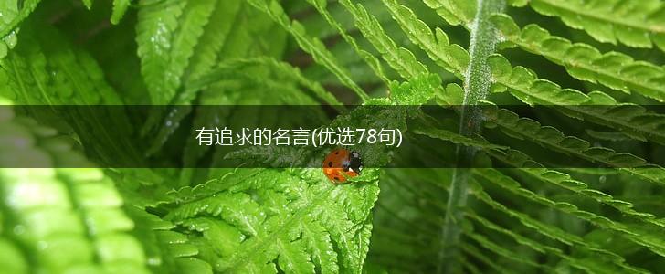 有追求的名言(优选78句),第1张 有追求的名言(优选78句),第1张
