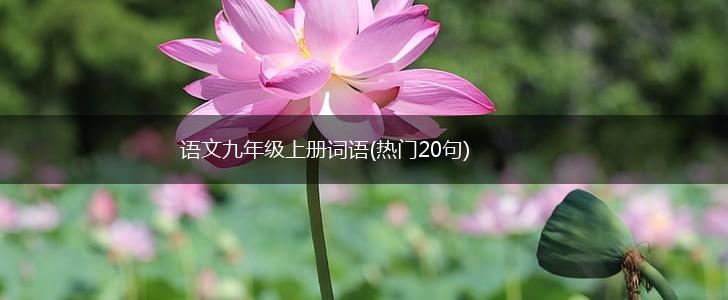 语文九年级上册词语(热门20句),第1张