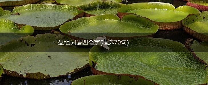 盘组词语四个字(精选70句),第1张