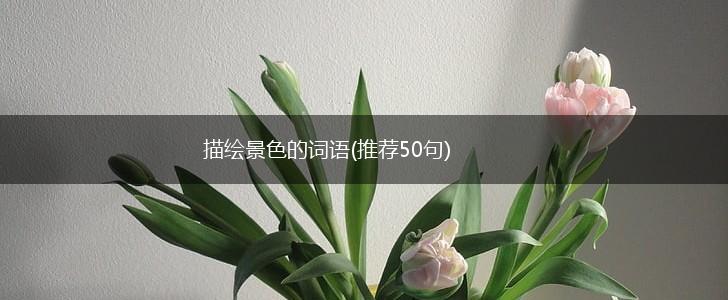 描绘景色的词语(推荐50句),第1张