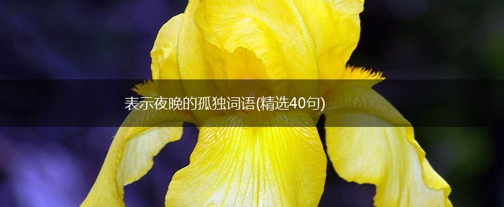 表示夜晚的孤独词语(精选40句),第1张 表示夜晚的孤独词语(精选40句),第1张