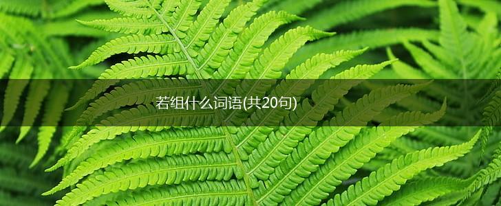 若组什么词语(共20句),第1张