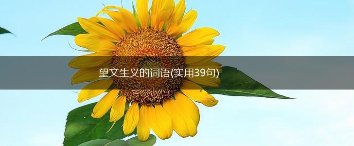 望文生义的词语(实用39句),第1张