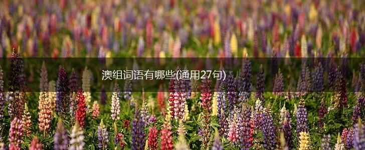 澳组词语有哪些(通用27句),第1张