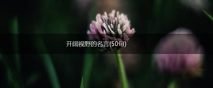 开阔视野的名言(50句),第1张