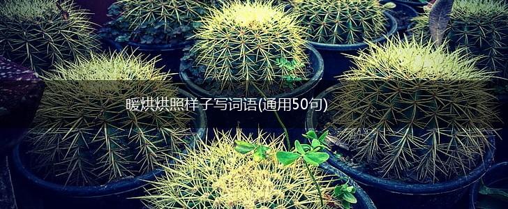 暖烘烘照样子写词语(通用50句),第1张 暖烘烘照样子写词语(通用50句),第1张