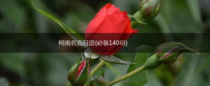 柯南名言日语(必备140句),第1张