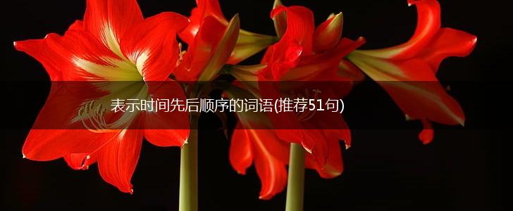 表示时间先后顺序的词语(推荐51句),第1张