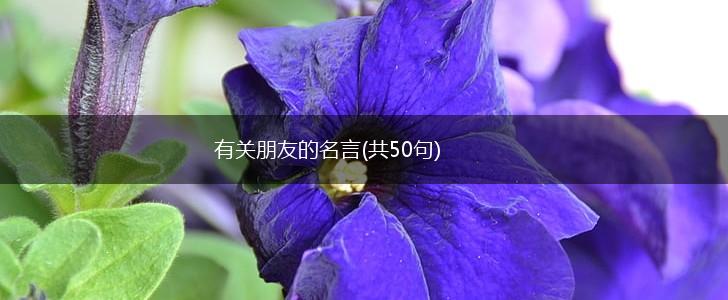 有关朋友的名言(共50句),第1张