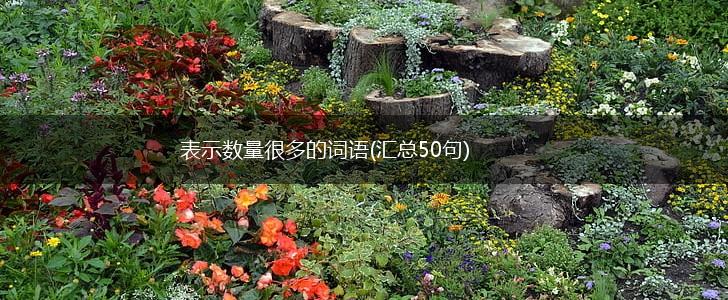 表示数量很多的词语(汇总50句),第1张