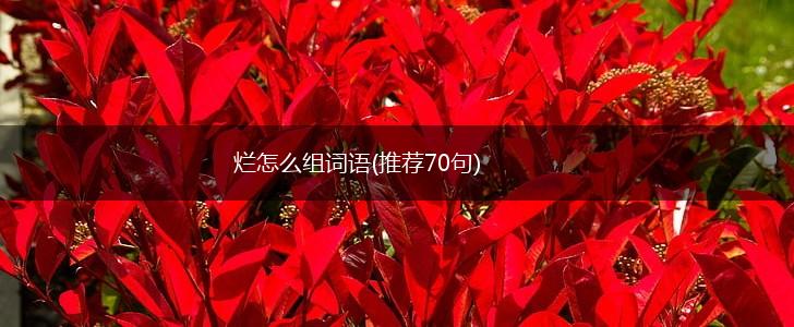 烂怎么组词语(推荐70句),第1张