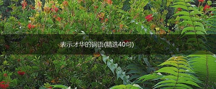 表示才华的词语(精选40句),第1张