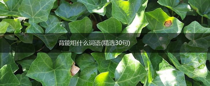 背能组什么词语(精选30句),第1张