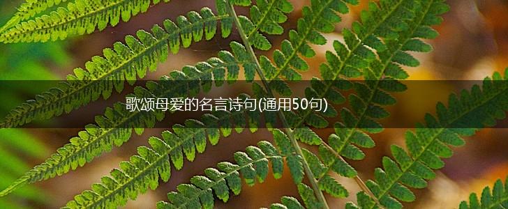 歌颂母爱的名言诗句(通用50句),第1张