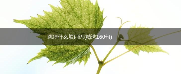跳得什么填词语(精选160句),第1张