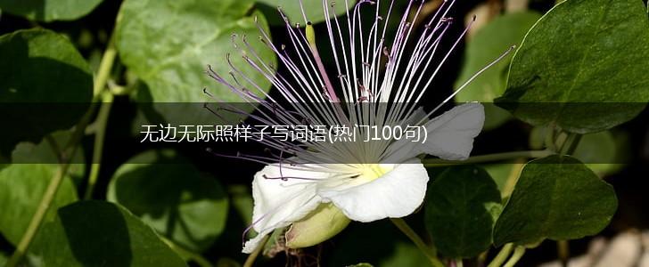 无边无际照样子写词语(热门100句),第1张