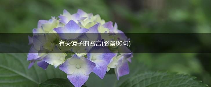 有关镜子的名言(必备80句),第1张