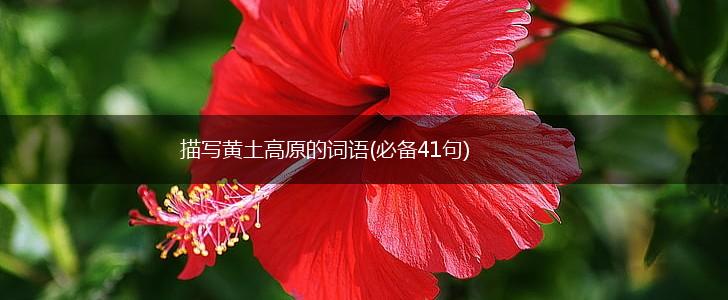 描写黄土高原的词语(必备41句),第1张 描写黄土高原的词语(必备41句),第1张