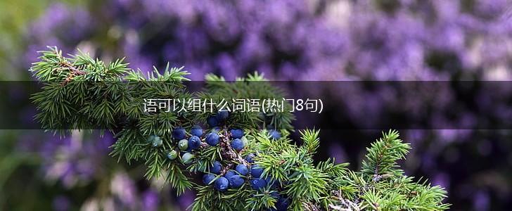 语可以组什么词语(热门8句),第1张