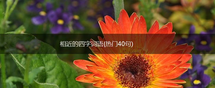 相近的四字词语(热门40句),第1张 相近的四字词语(热门40句),第1张