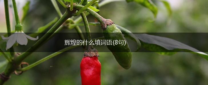 辉煌的什么填词语(8句),第1张