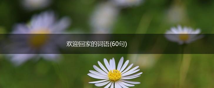 欢迎回家的词语(60句),第1张