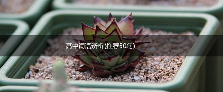 高中词语辨析(推荐50句),第1张
