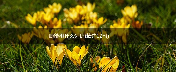 蹲能组什么词语(精选12句),第1张