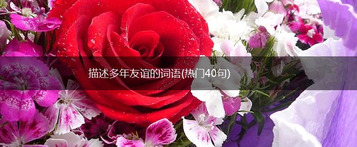 描述多年友谊的词语(热门40句),第1张