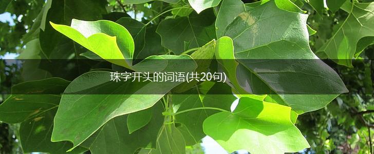 珠字开头的词语(共20句),第1张