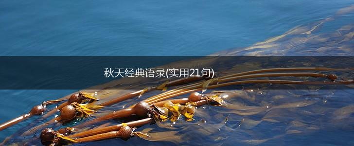 秋天经典语录(实用21句),第1张